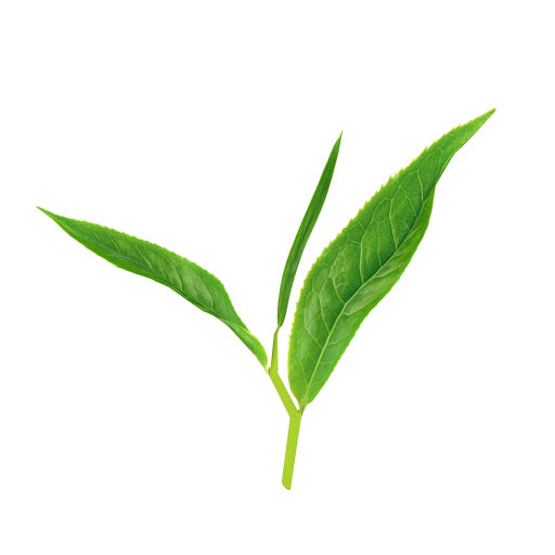Tea leaf 500g box